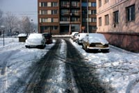 Zv�t�it